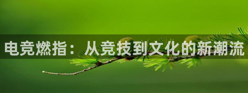 必赢电竞最新比赛：电竞燃指：从竞技到文化的新潮流
