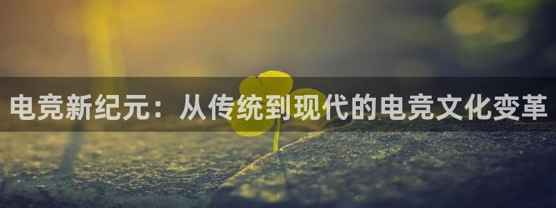 必赢电竞最新比赛：电竞新纪元：从传统到现代的电竞文化变革