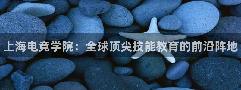 必赢电竞：上海电竞学院：全球顶尖技能教育的前沿阵地