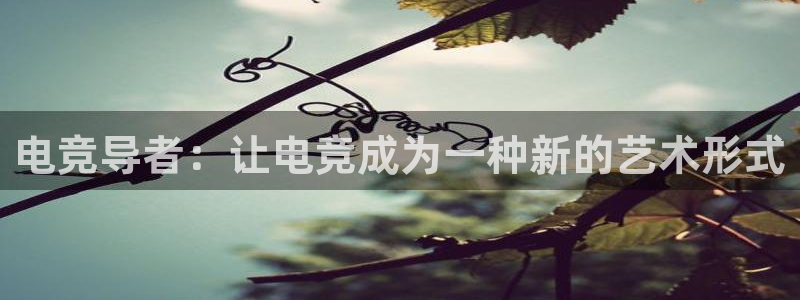 必赢电竞最新比赛：电竞导者：让电竞成为一种新的艺术形式