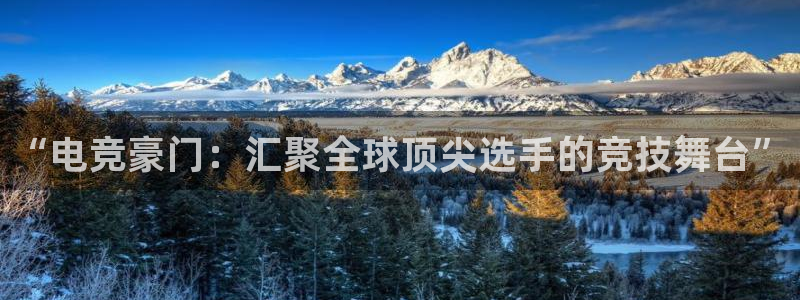 必赢电竞最新比赛：“电竞豪门：汇聚全球顶尖选手的竞技舞台”